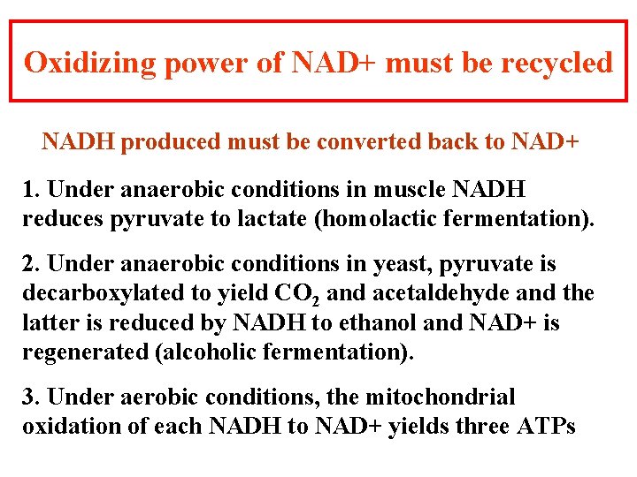 Oxidizing power of NAD+ must be recycled NADH produced must be converted back to