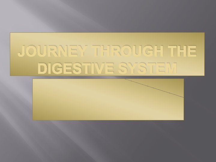 JOURNEY THROUGH THE DIGESTIVE SYSTEM 