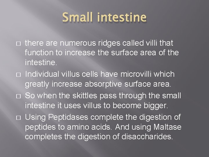 Small intestine � � there are numerous ridges called villi that function to increase