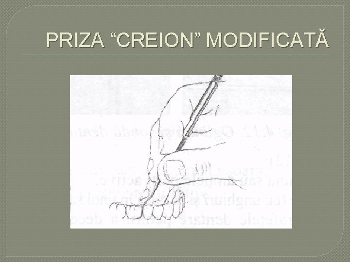 PRIZA “CREION” MODIFICATĂ PRIZA “CREION” MODIFICATĂ