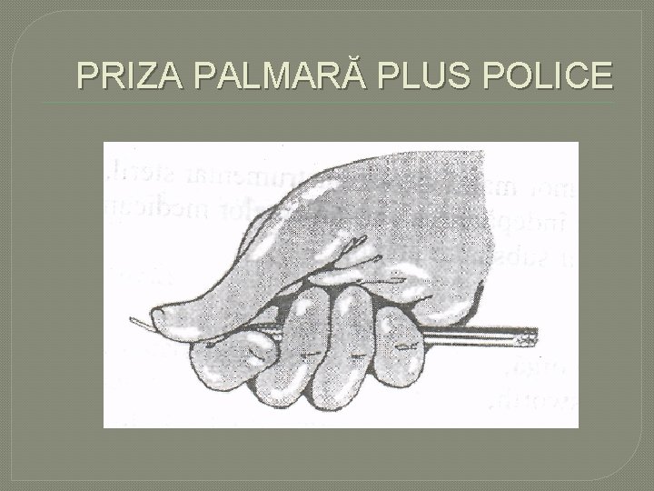 PRIZA PALMARĂ PLUS POLICE PRIZA PALMARĂ PLUS POLICE