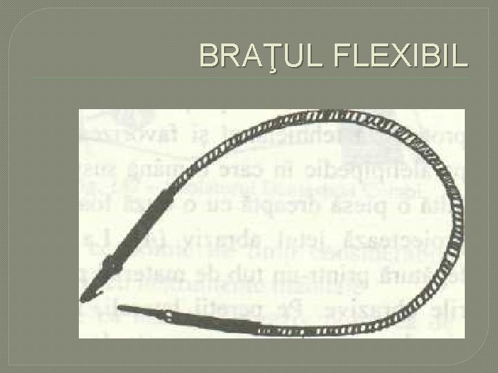 BRAŢUL FLEXIBIL BRAŢUL FLEXIBIL