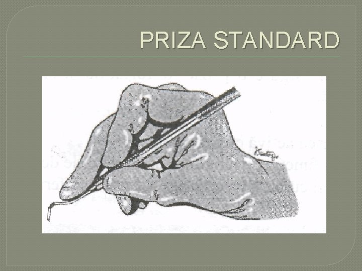 PRIZA STANDARD PRIZA STANDARD