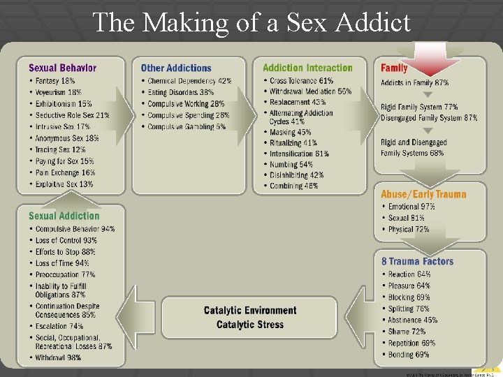 The Making of a Sex Addict © 2012 The Making of a Sex Addict © 2012