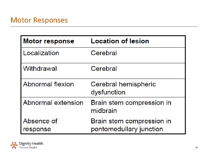 Motor Responses 19 