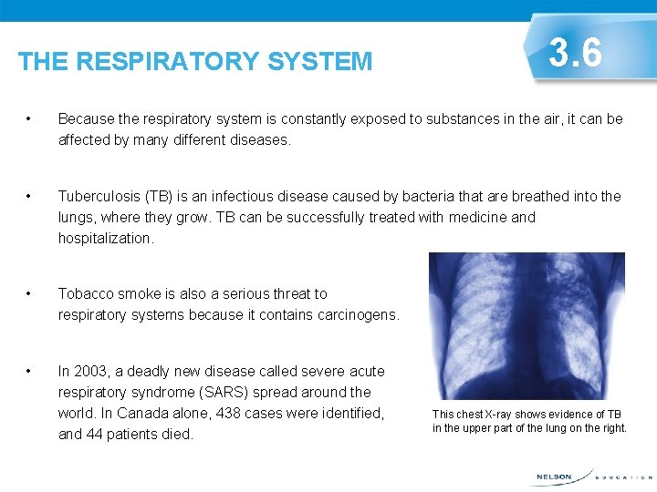 THE RESPIRATORY SYSTEM 3. 6 • Because the respiratory system is constantly exposed to