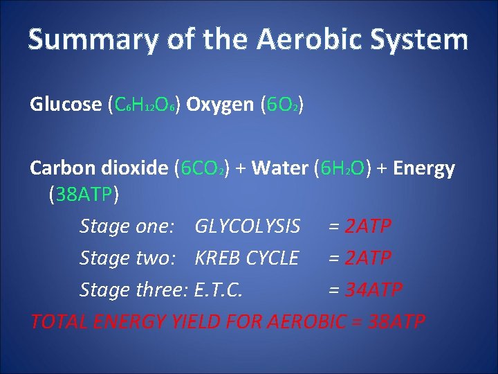 Summary of the Aerobic System Glucose (C 6 H 12 O 6) Oxygen (6