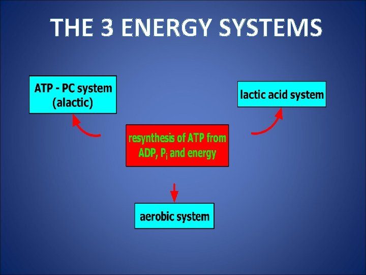 THE 3 ENERGY SYSTEMS 