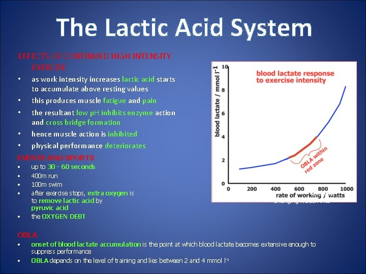 The Lactic Acid System EFFECTS OF CONTINUED HIGH INTENSITY EXERCISE • • • as