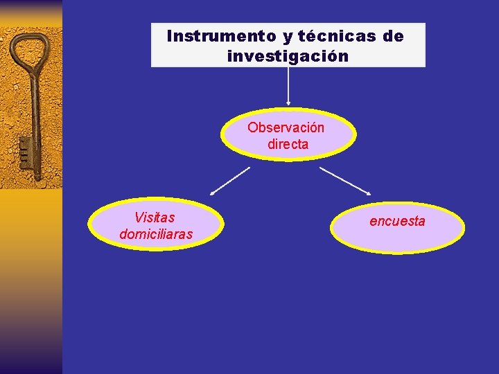 Instrumento y técnicas de investigación Observación directa Visitas domiciliaras encuesta 