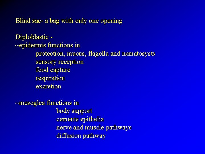 Blind sac- a bag with only one opening Diploblastic ~epidermis functions in protection, mucus,