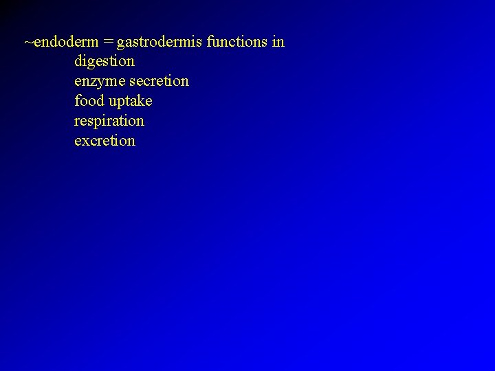 ~endoderm = gastrodermis functions in digestion enzyme secretion food uptake respiration excretion 