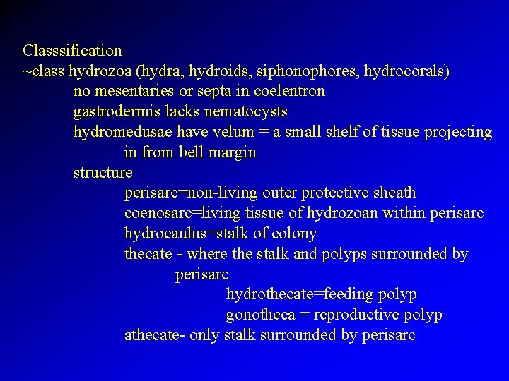 Classsification ~class hydrozoa (hydra, hydroids, siphonophores, hydrocorals) no mesentaries or septa in coelentron gastrodermis