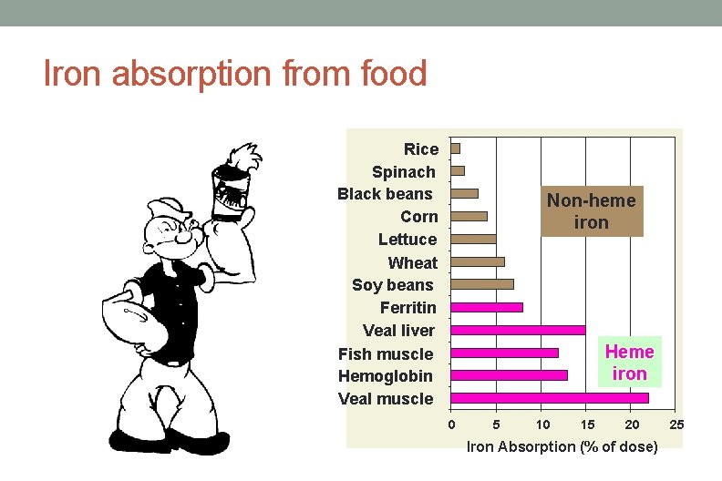 Iron absorption from food Rice Spinach Black beans Corn Lettuce Wheat Soy beans Ferritin