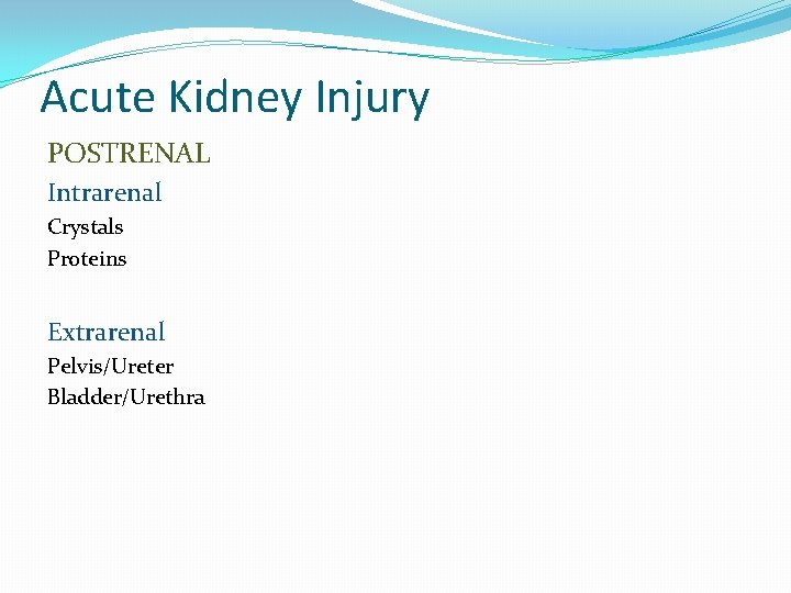 Acute Kidney Injury POSTRENAL Intrarenal Crystals Proteins Extrarenal Pelvis/Ureter Bladder/Urethra 