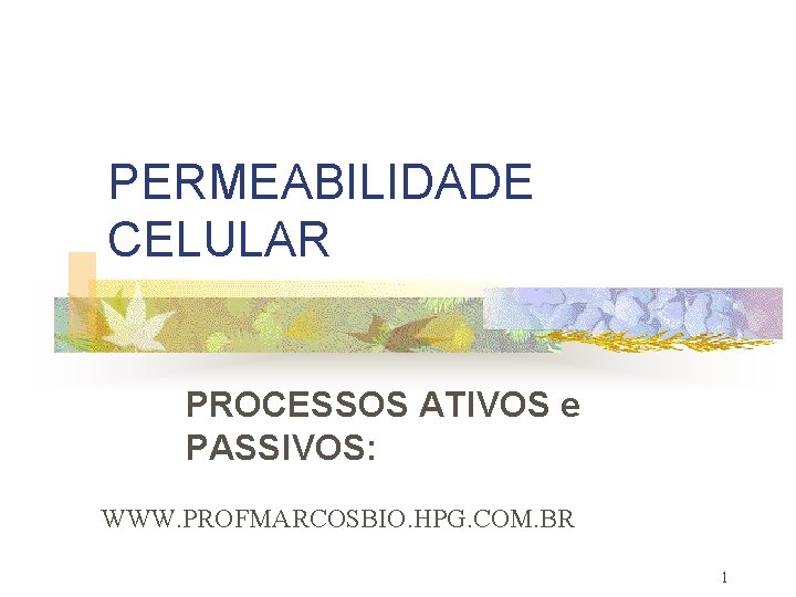 PERMEABILIDADE CELULAR PROCESSOS ATIVOS e PASSIVOS: WWW. PROFMARCOSBIO. HPG. COM. BR 1 