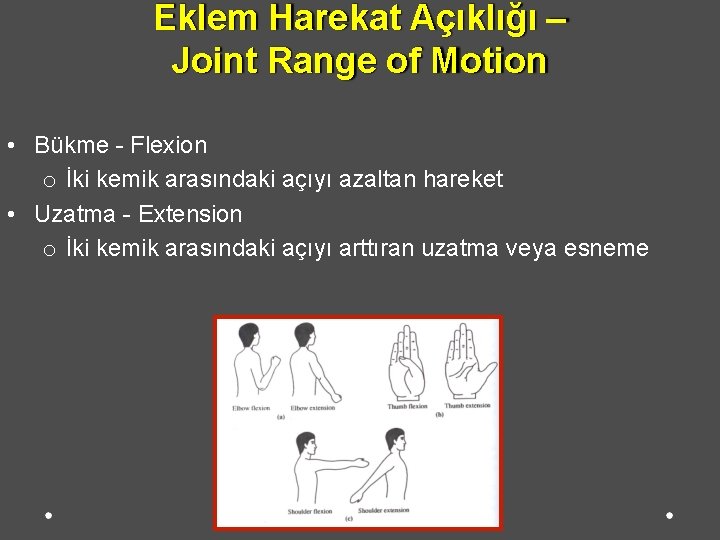 Eklem Harekat Açıklığı – Joint Range of Motion • Bükme - Flexion o İki