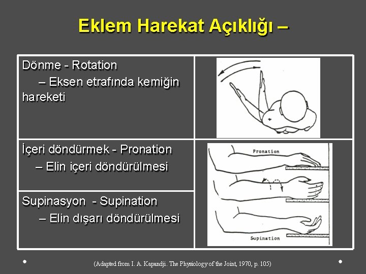 Eklem Harekat Açıklığı – Dönme - Rotation – Eksen etrafında kemiğin hareketi İçeri döndürmek