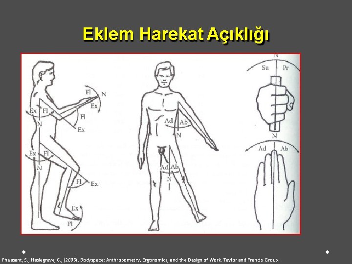 Eklem Harekat Açıklığı Pheasant, S. , Haslegrave, C. , (2006). Bodyspace: Anthropometry, Ergonomics, and