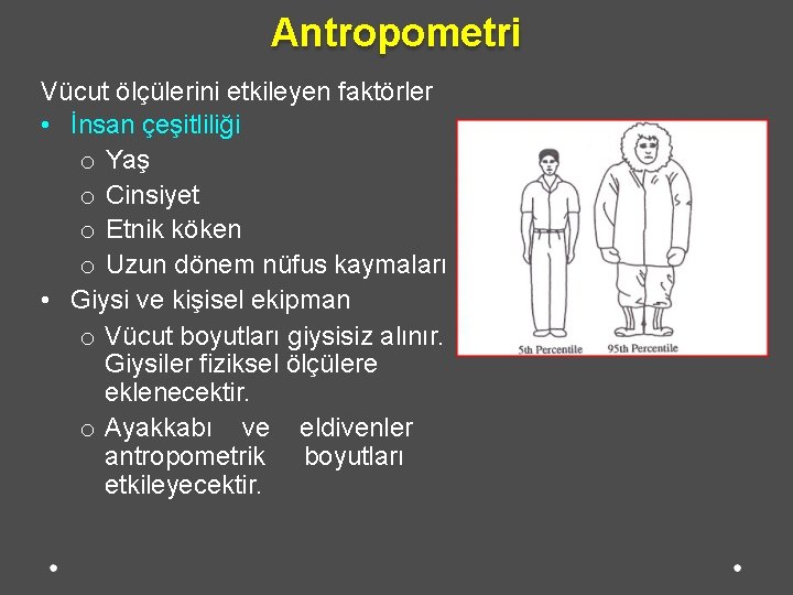 Antropometri Vücut ölçülerini etkileyen faktörler • İnsan çeşitliliği o Yaş o Cinsiyet o Etnik