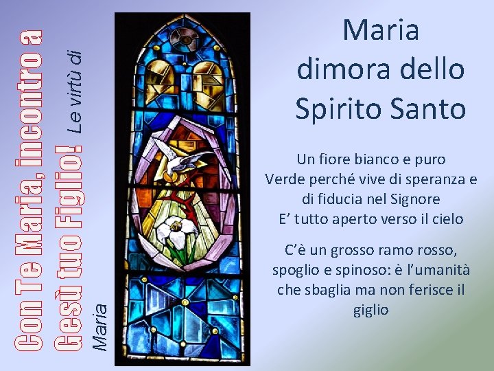 Un fiore bianco e puro Verde perché vive di speranza e di fiducia nel