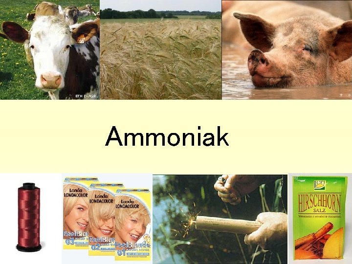 Ammoniak 