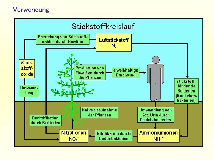 Verwendung Stickstoffkreislauf 