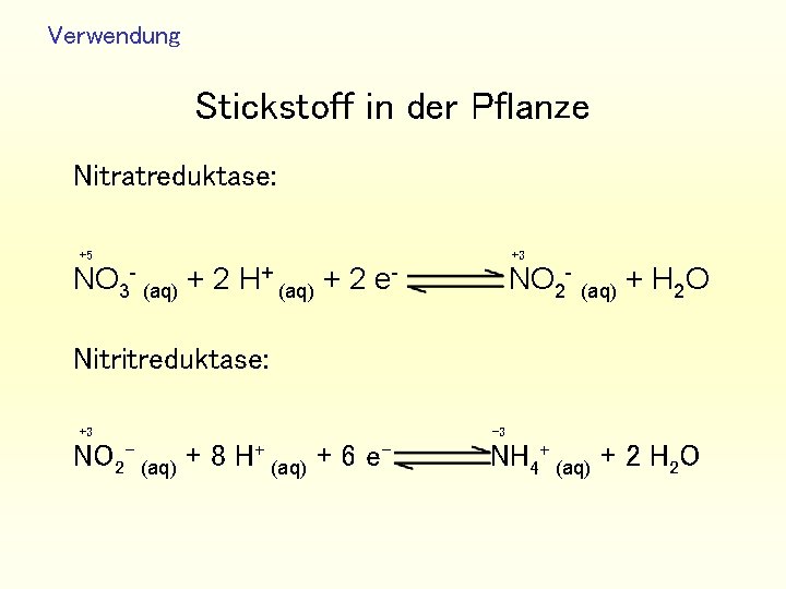 Verwendung Stickstoff in der Pflanze Nitratreduktase: +5 NO 3 - (aq) + 2 H+