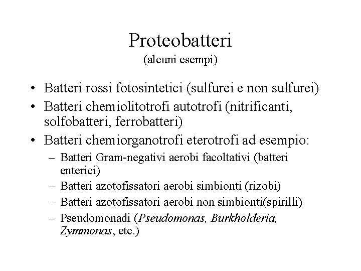 Proteobatteri (alcuni esempi) • Batteri rossi fotosintetici (sulfurei e non sulfurei) • Batteri chemiolitotrofi