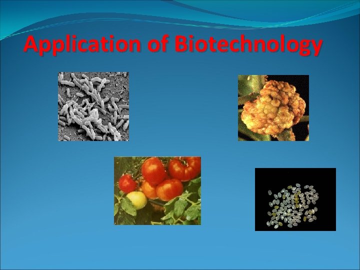 Application of Biotechnology 