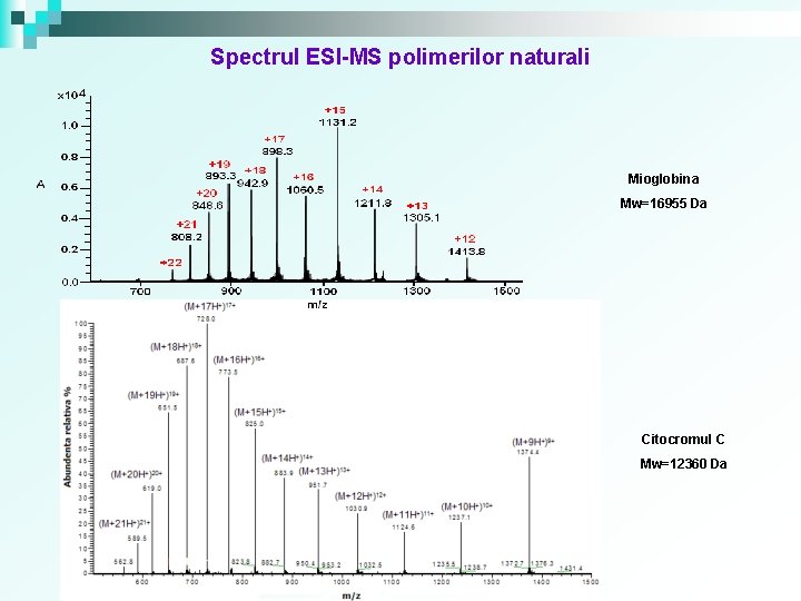 Spectrul ESI-MS polimerilor naturali Mioglobina Mw=16955 Da Citocromul C Mw=12360 Da 