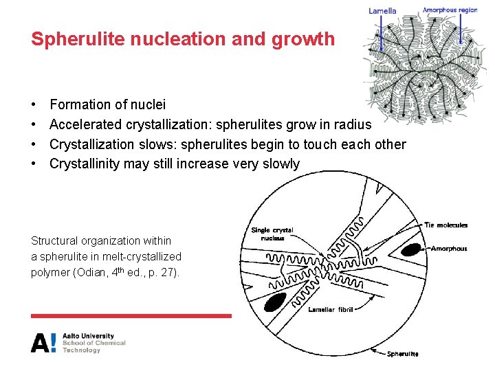 Spherulite nucleation and growth • • Formation of nuclei Accelerated crystallization: spherulites grow in