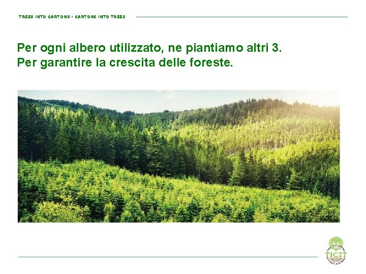 TREES INTO CARTONS • CARTONS INTO TREES Per ogni albero utilizzato, ne piantiamo altri