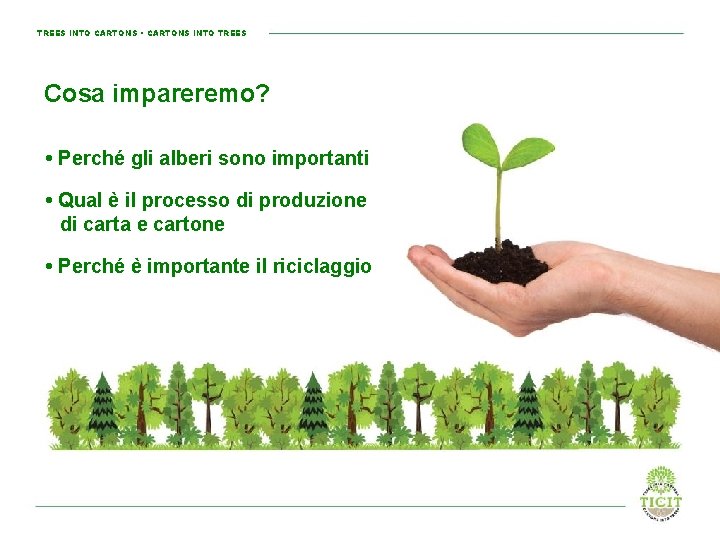 TREES INTO CARTONS • CARTONS INTO TREES Cosa impareremo? • Perché gli alberi sono