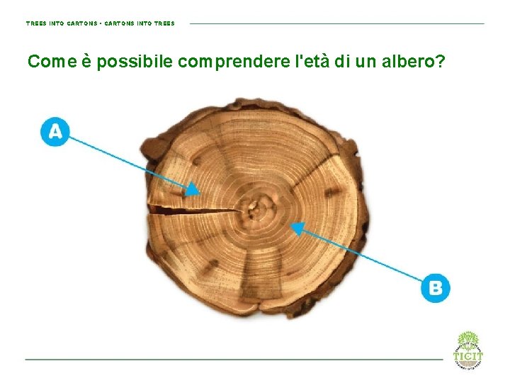 TREES INTO CARTONS • CARTONS INTO TREES Come è possibile comprendere l'età di un