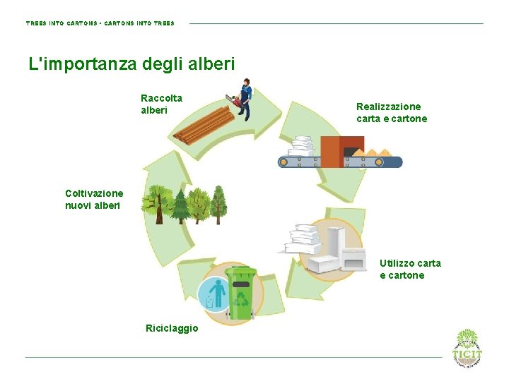 TREES INTO CARTONS • CARTONS INTO TREES L'importanza degli alberi Raccolta alberi Realizzazione carta