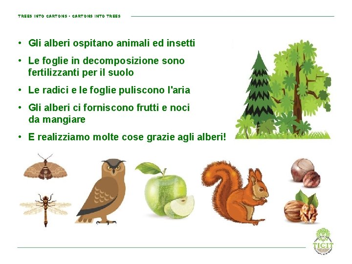 TREES INTO CARTONS • CARTONS INTO TREES • Gli alberi ospitano animali ed insetti