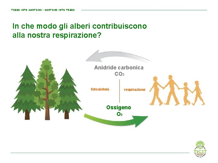 TREES INTO CARTONS • CARTONS INTO TREES In che modo gli alberi contribuiscono alla