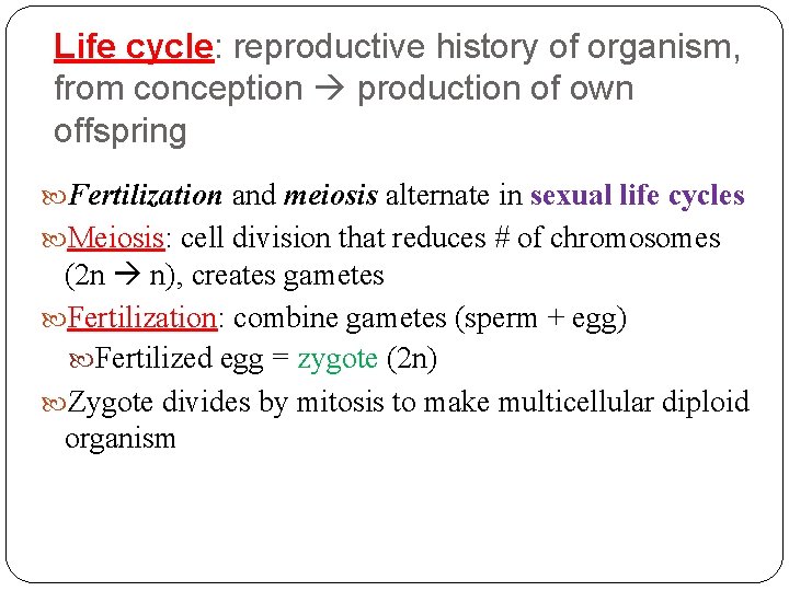 Life cycle: reproductive history of organism, from conception production of own offspring Fertilization and