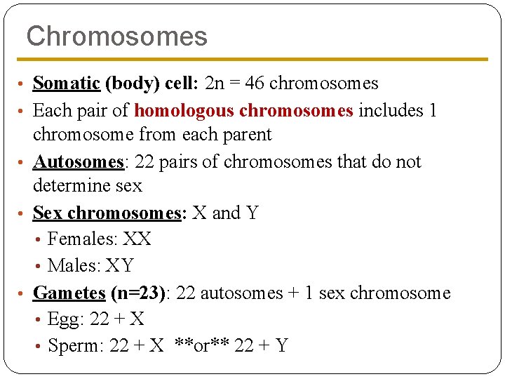 Chromosomes • Somatic (body) cell: 2 n = 46 chromosomes • Each pair of