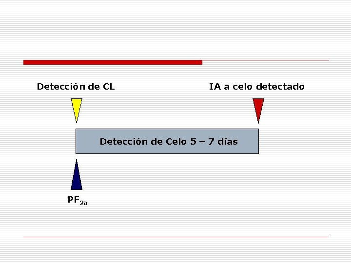 Detección de CL IA a celo detectado Detección de Celo 5 – 7 días Detección de CL IA a celo detectado Detección de Celo 5 – 7 días