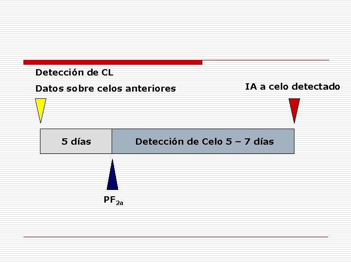 Detección de CL Datos sobre celos anteriores 5 días IA a celo detectado Detección Detección de CL Datos sobre celos anteriores 5 días IA a celo detectado Detección