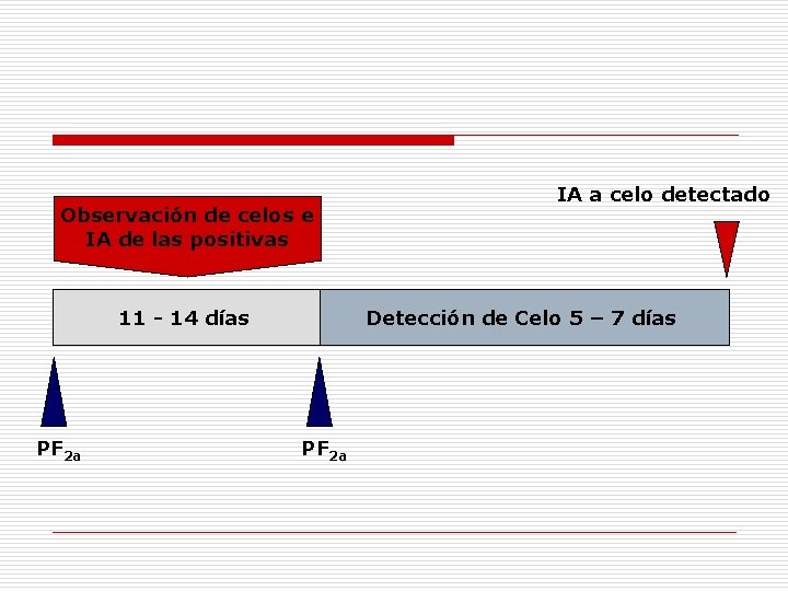 Observación de celos e IA de las positivas 11 - 14 días PF 2 Observación de celos e IA de las positivas 11 - 14 días PF 2