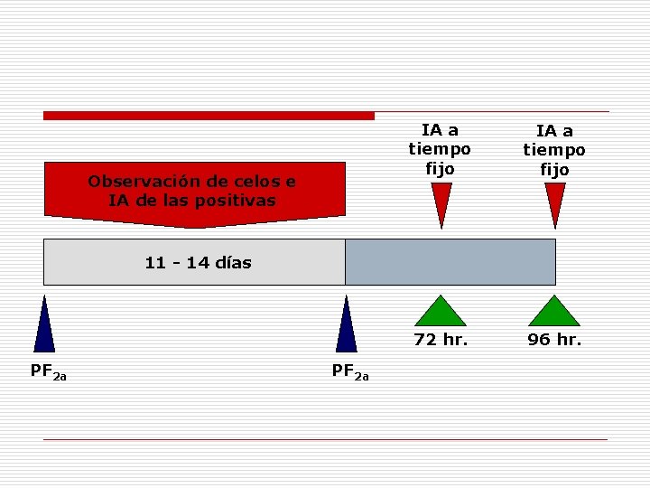 Observación de celos e IA de las positivas IA a tiempo fijo 72 hr. Observación de celos e IA de las positivas IA a tiempo fijo 72 hr.