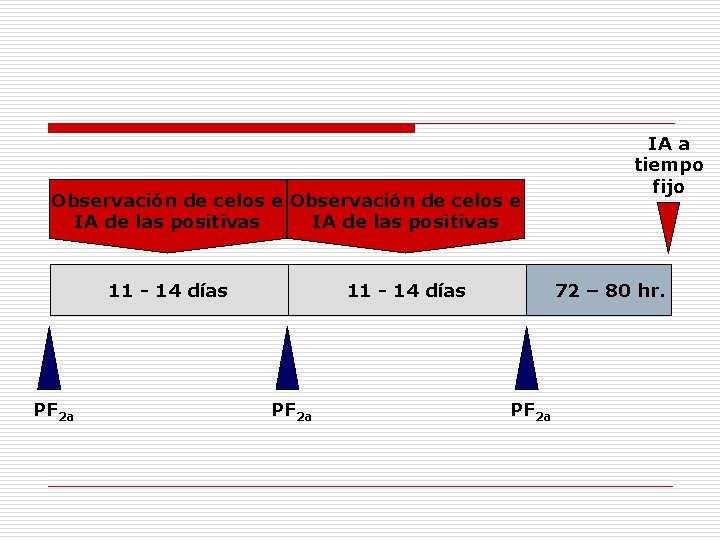 Observación de celos e IA de las positivas 11 - 14 días PF 2 Observación de celos e IA de las positivas 11 - 14 días PF 2