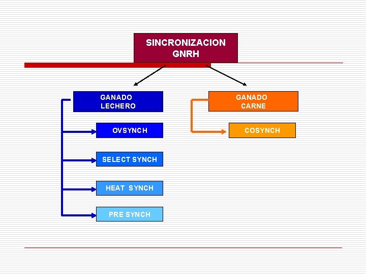 SINCRONIZACION GNRH GANADO LECHERO OVSYNCH SELECT SYNCH HEAT SYNCH PRE SYNCH GANADO CARNE COSYNCH SINCRONIZACION GNRH GANADO LECHERO OVSYNCH SELECT SYNCH HEAT SYNCH PRE SYNCH GANADO CARNE COSYNCH
