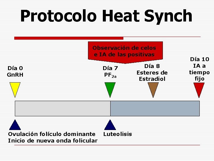 Protocolo Heat Synch Observación de celos e IA de las positivas Día 0 Gn. Protocolo Heat Synch Observación de celos e IA de las positivas Día 0 Gn.