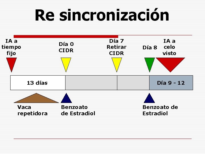 Re sincronización IA a tiempo fijo Día 0 CIDR 13 días Vaca repetidora Día Re sincronización IA a tiempo fijo Día 0 CIDR 13 días Vaca repetidora Día