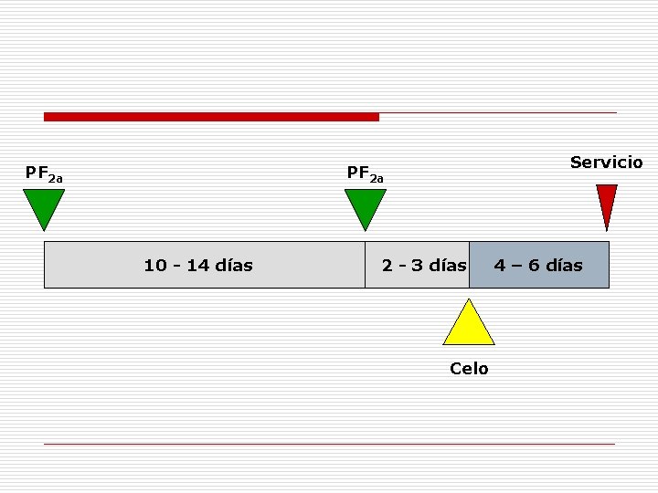 PF 2 a Servicio PF 2 a 10 - 14 días 2 - 3 PF 2 a Servicio PF 2 a 10 - 14 días 2 - 3