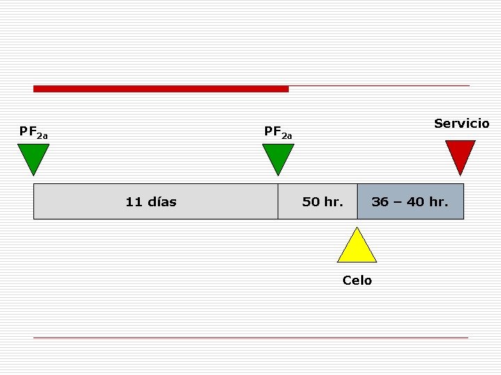 PF 2 a Servicio PF 2 a 11 días 50 hr. 36 – 40 PF 2 a Servicio PF 2 a 11 días 50 hr. 36 – 40